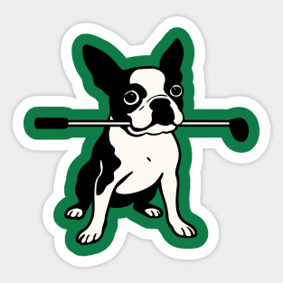 Boston Terrier Golfer – Funny Dog Golf Club Design Sticker